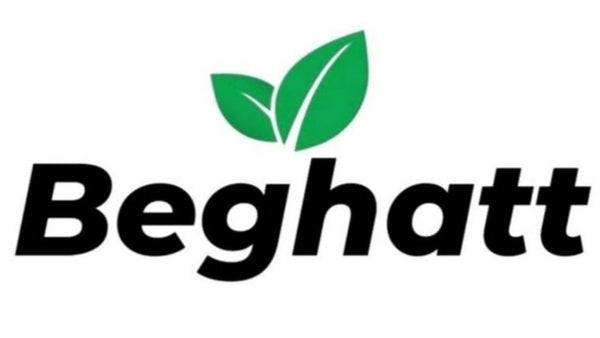 Logo Shopify