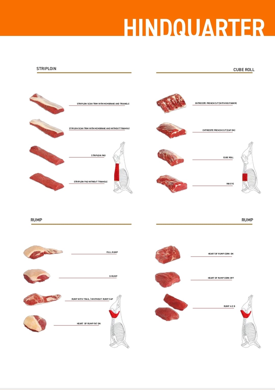 Carne Bovina