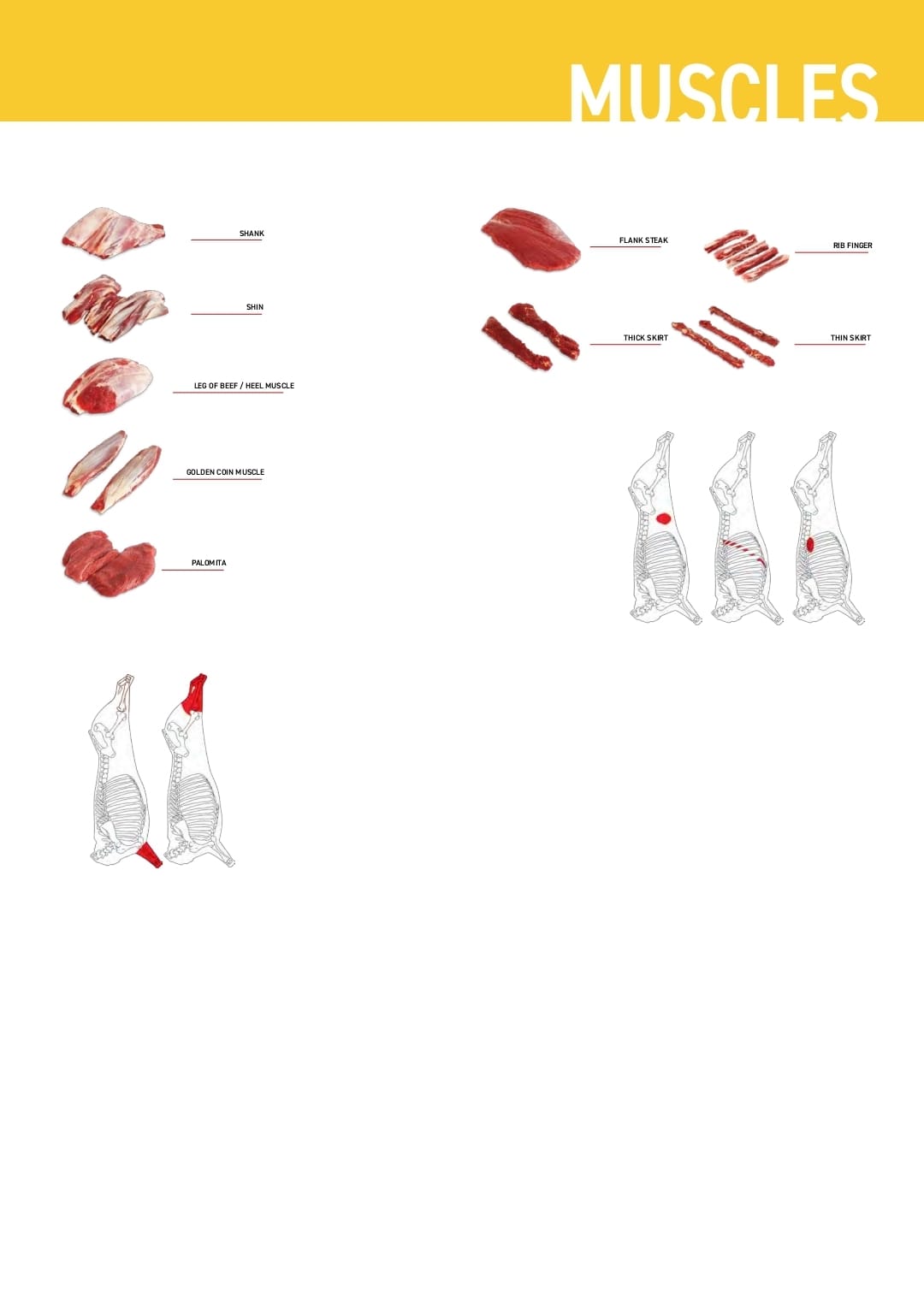 Carne Bovina