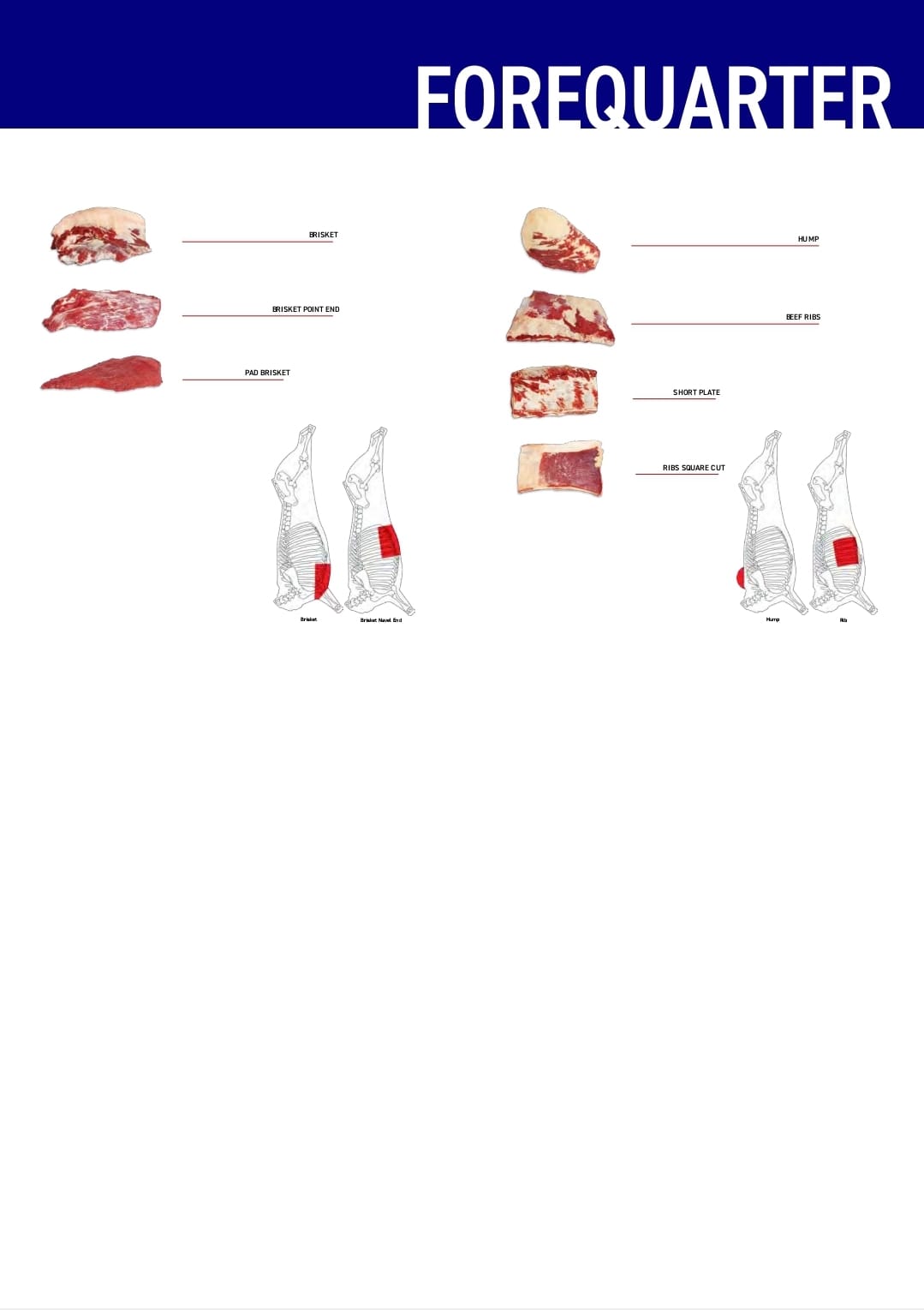 Carne Bovina