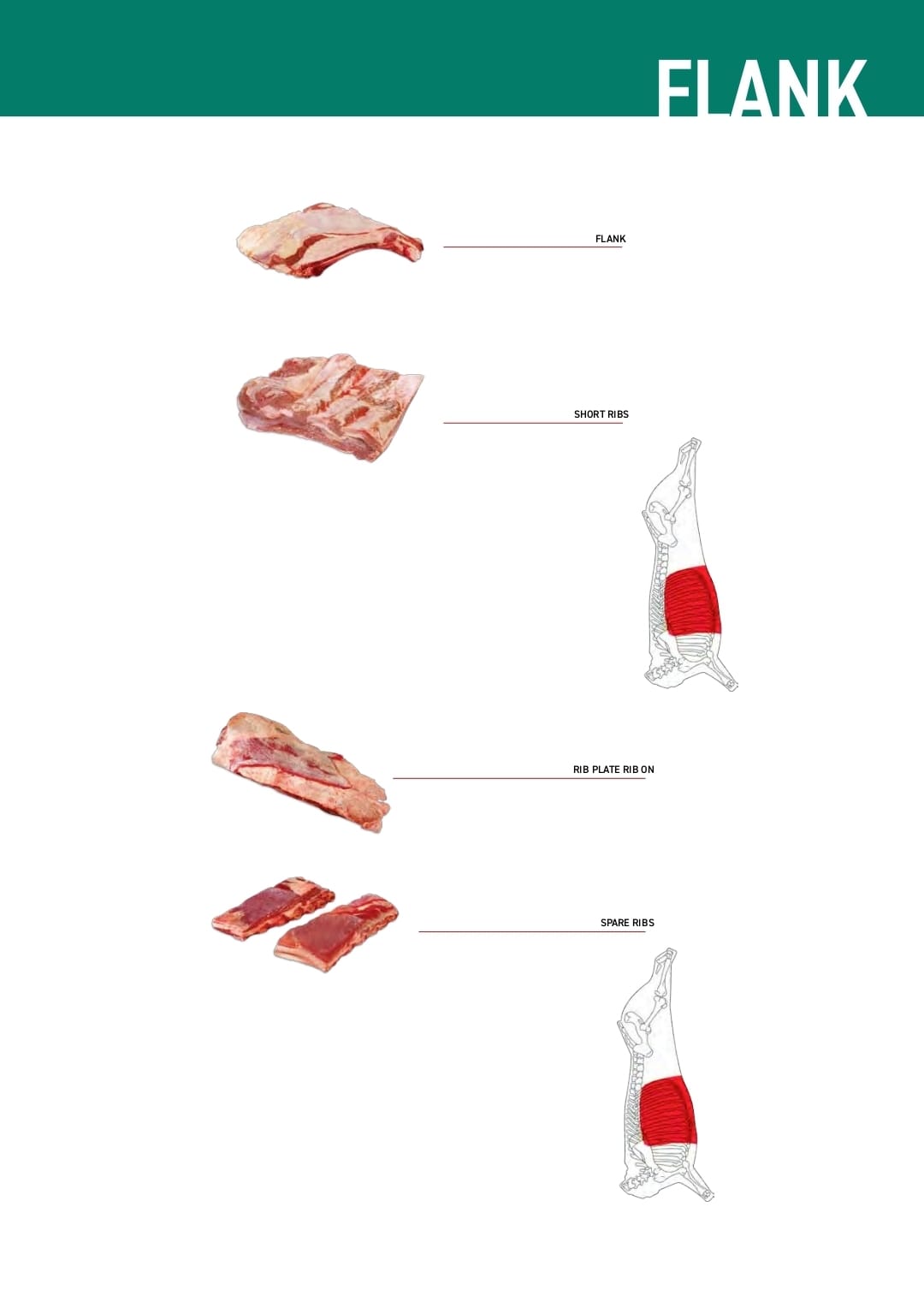 Carne Bovina