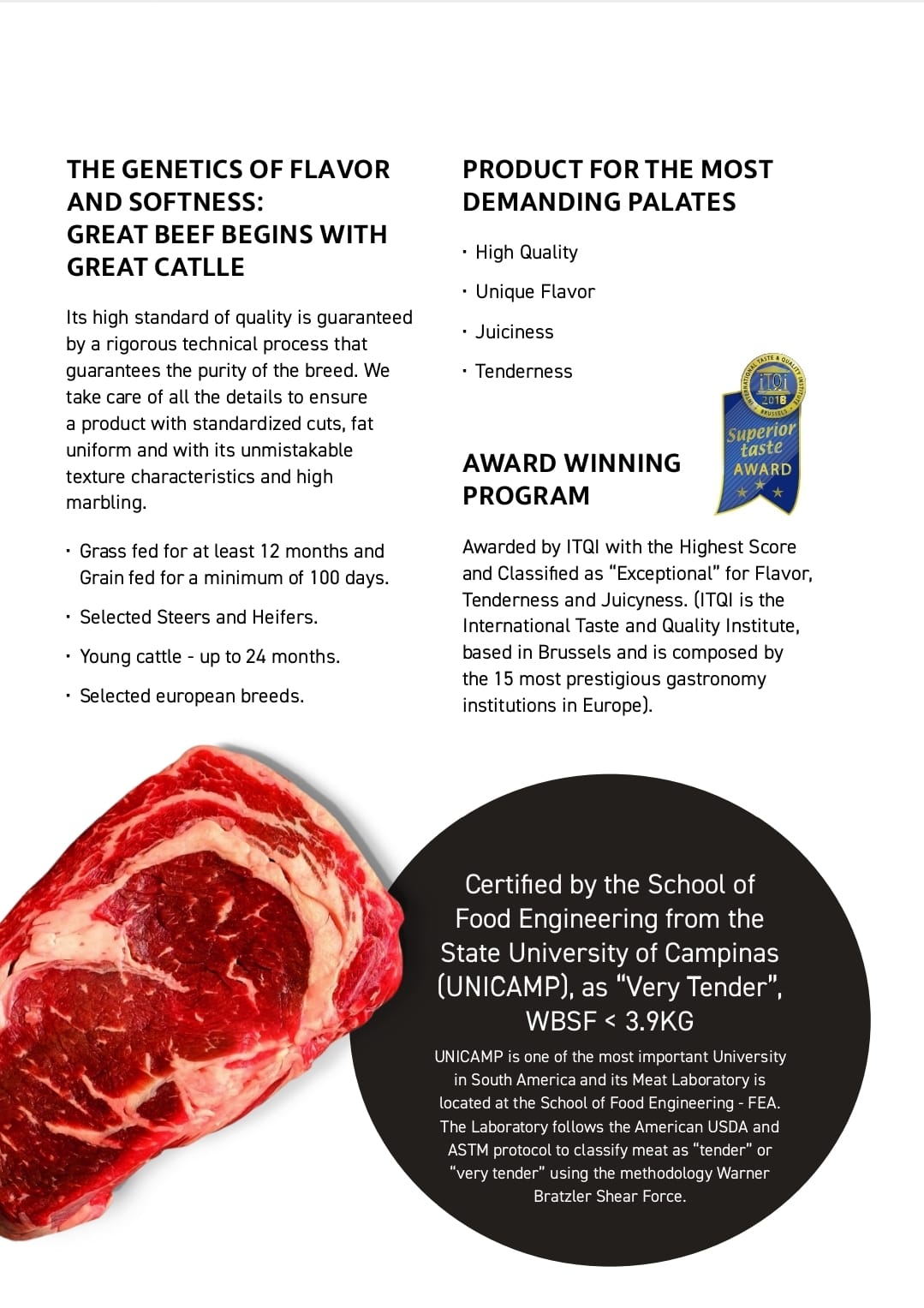 Carne Bovina